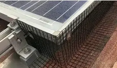 Bird Solar Panel Exclusion