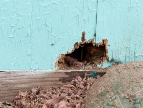 Wildlife Damage