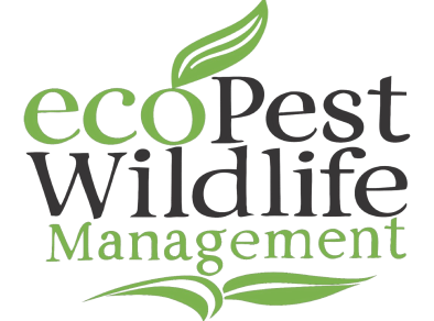 ecoPest Wildlife Management